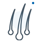 Cheveux et ongles